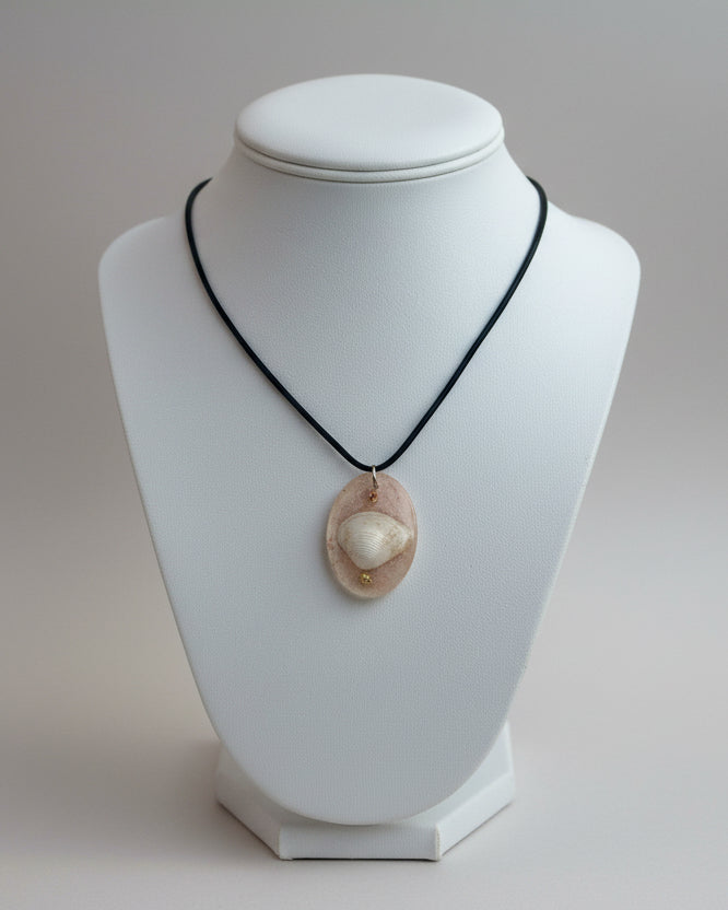 Necklace with a shell pendant on a white background